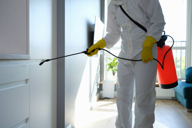 Mold Odor Removal Services in Waycross, GA